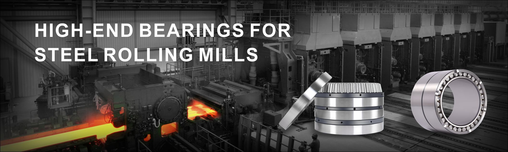 Four-row Cylindrical Roller Bearing